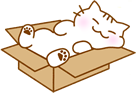 ねこ段ボール